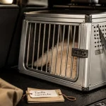 Cage de transport chien : bonne taille, protection et sécurité en voiture