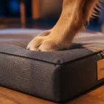 Meilleur lit orthopédique pour chien : mousse HD et housse
