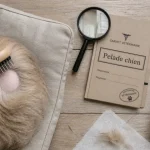 Pelade chien : mue normale vs causes pathologiques (chien, brosse, poils)