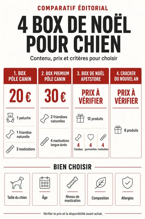 Infographie comparative des formules de box de Noël pour chien, contenus et critères de choix