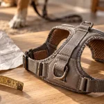 Meilleurs harnais pour chien : harnais réglable et guide des tailles